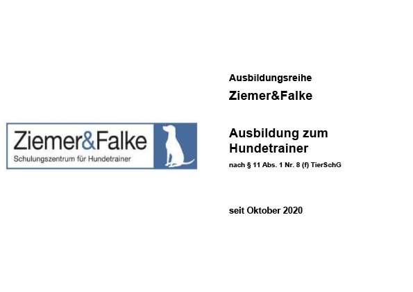 Ausbildungsreihe_Ziemer und Falke_Oktober 2020