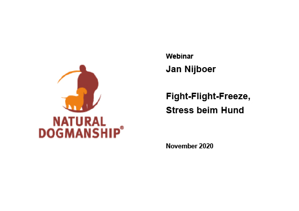 Webinar_Jan Nijboer_November 2020