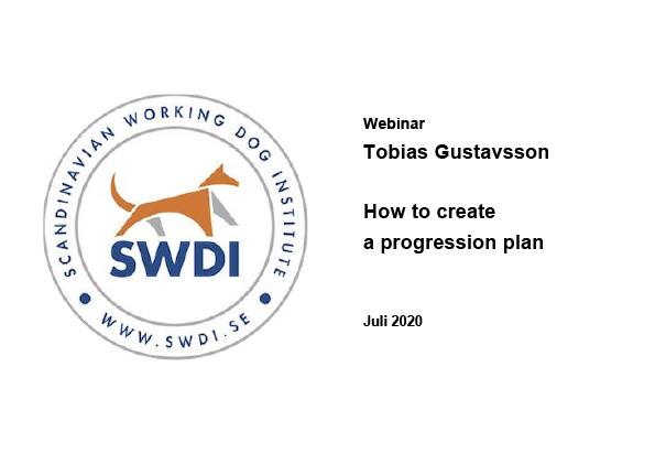 Webinar_Tobias Gustavsson_Juli 2020