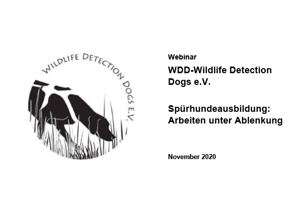 Webinar_WDD_November 2020